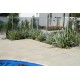 Concrete Paver - Sandy 900 x 450mm Coloured