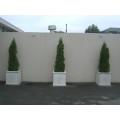 Planters & Outdoor Decor