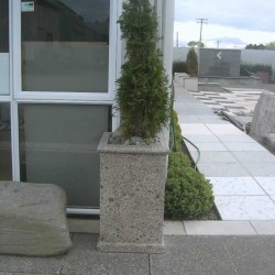 Concrete Planter Tall Skinny - Exposed Aggregate Classic