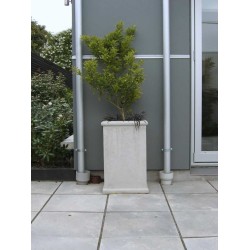 Concrete Planter Tall Skinny - Natural